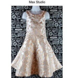 Max Studio Dress Sz 7